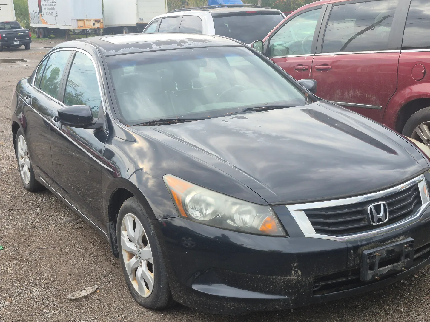 2008 Honda Accord Car - Black image indicator(7)