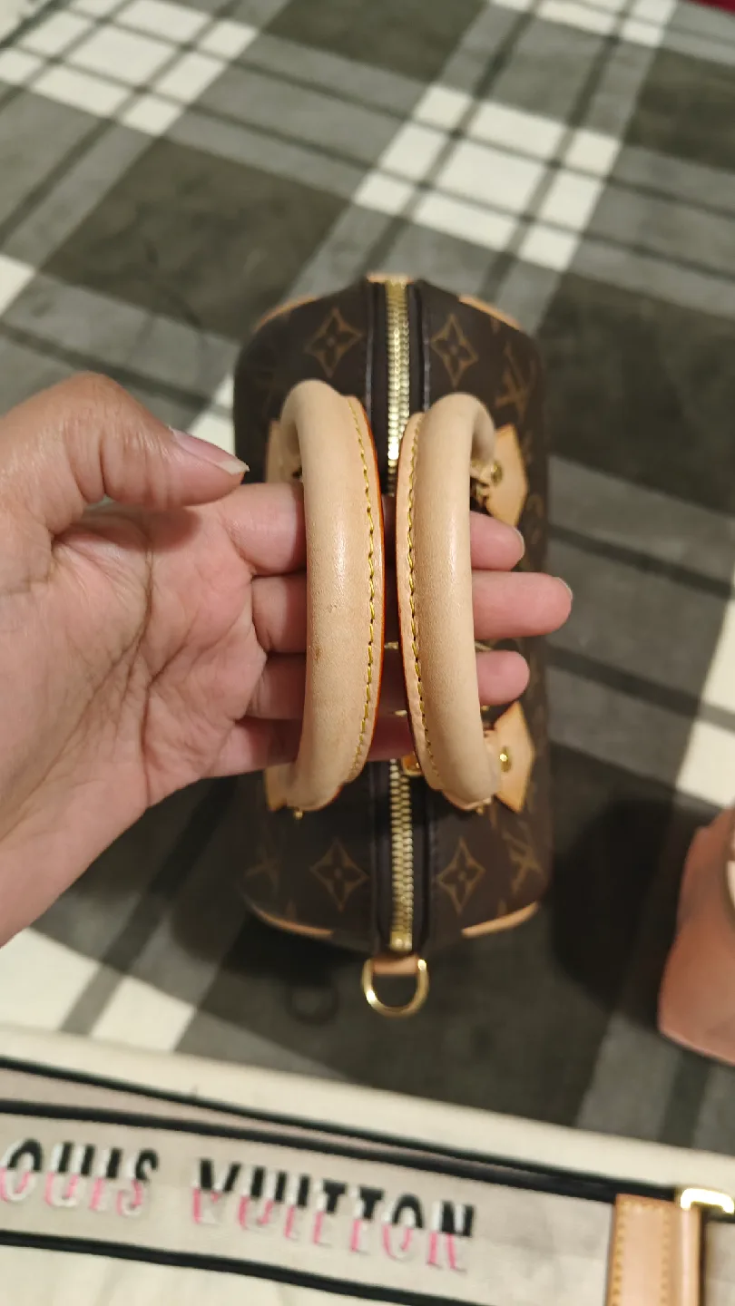 Louis Vuitton Speedy 20 image indicator(2)