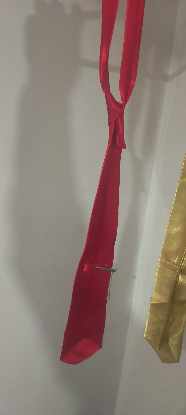 Red Tie - photo 2