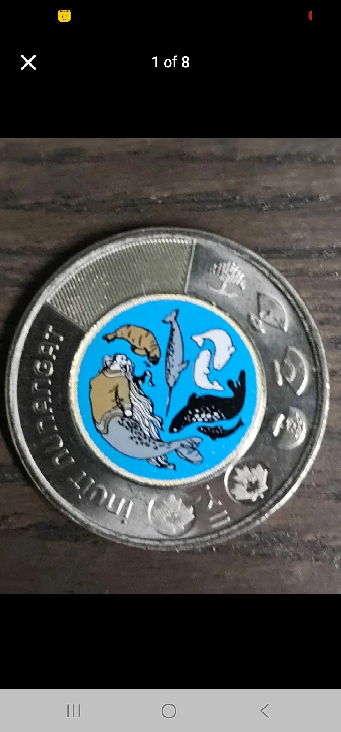 Canadian Toonie Collection image indicator(3)