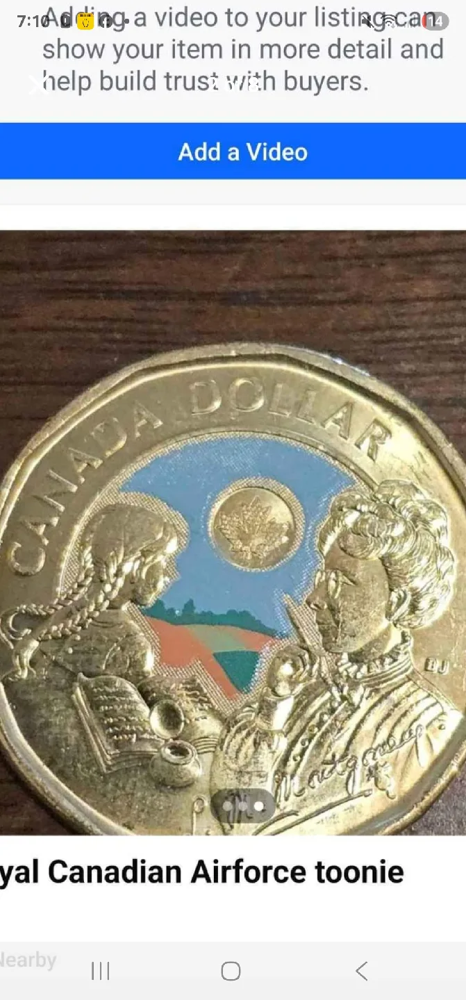 Canadian Toonie Collection image indicator(4)