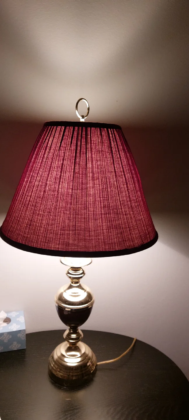 Lamp image indicator(5)