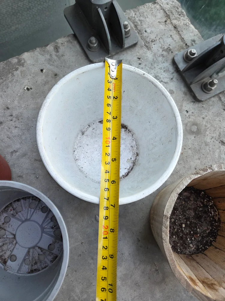 FREE: Assorted Plant Pots image indicator(2)