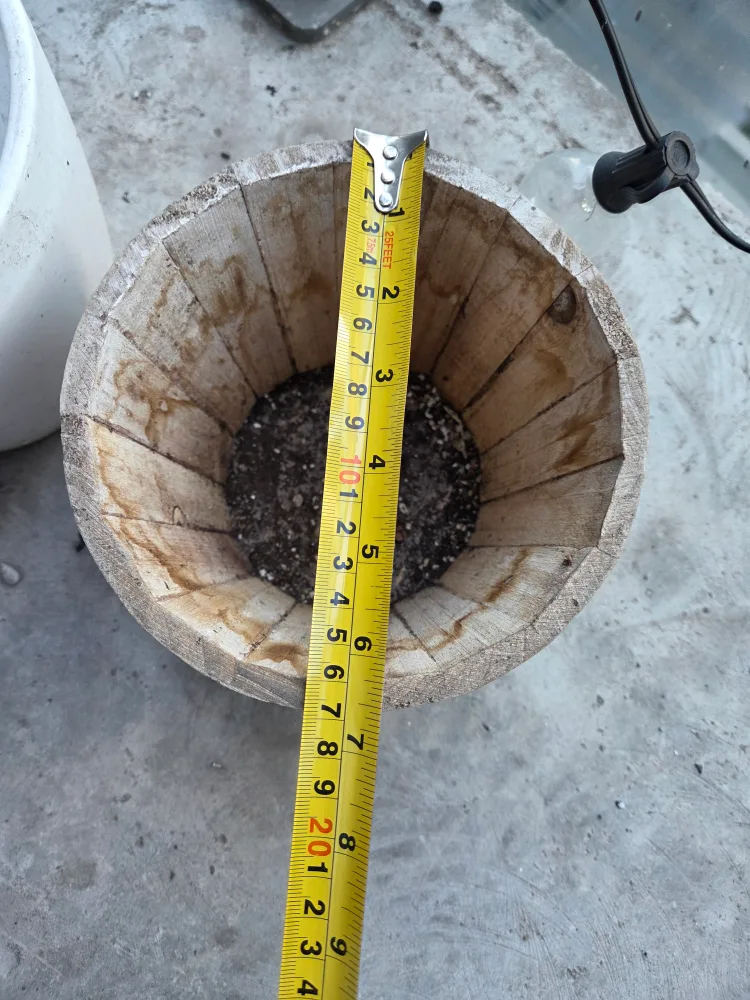 FREE: Assorted Plant Pots image indicator(3)