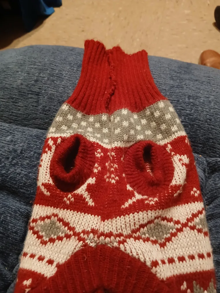 Red & White Dog Sweater image indicator(3)