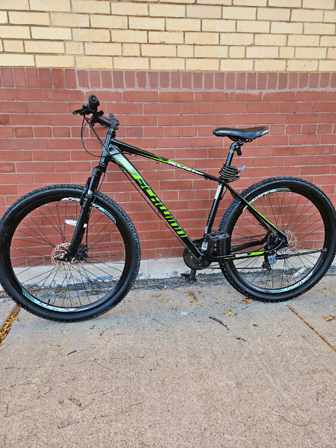 schwinn mountain bike