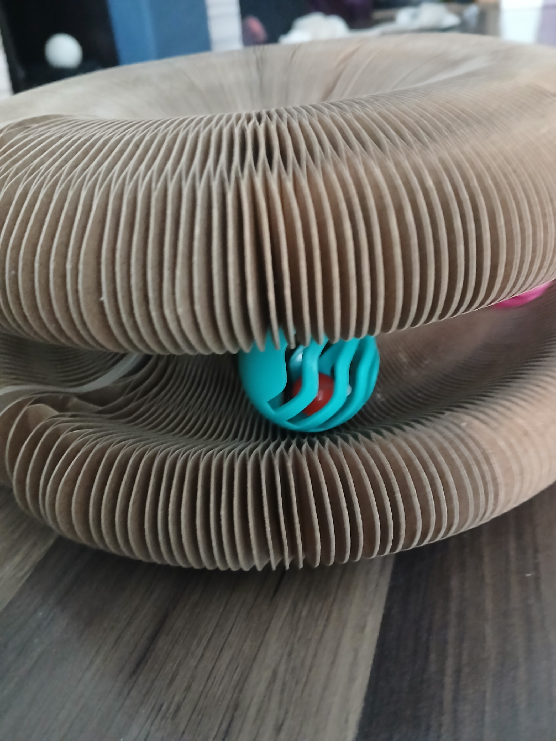 Cat Scratcher Lounge Bed with Ball