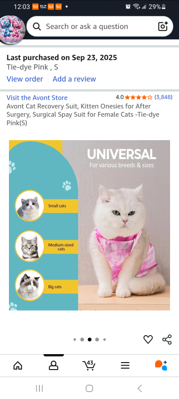 kitten surgical recovery bodysuit - photo 2