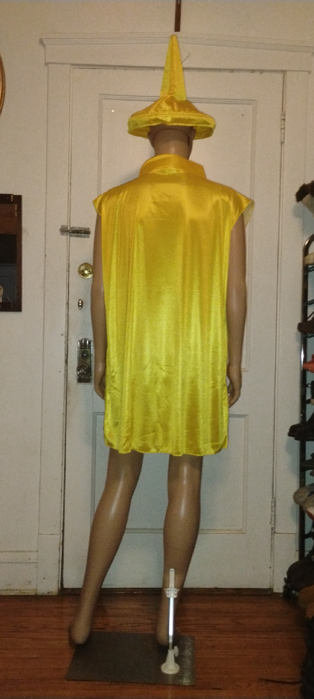 Adult Spicy Mustard Costume Size Standard Halloween - photo 3