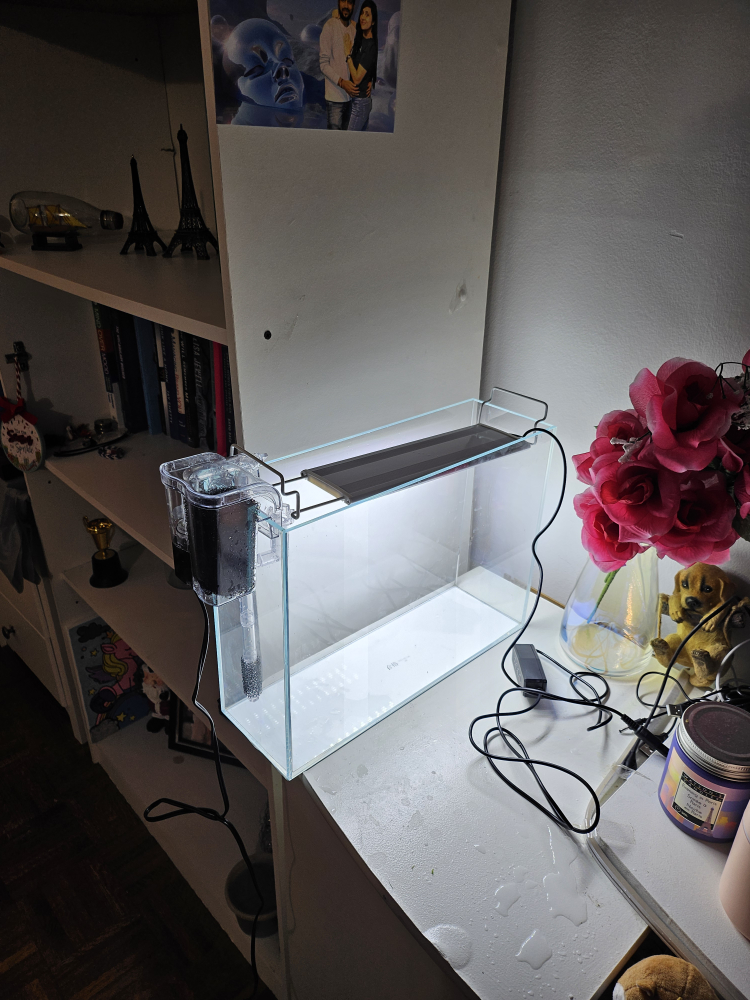 Aquarium Tank with Filter and led lights - photo 2