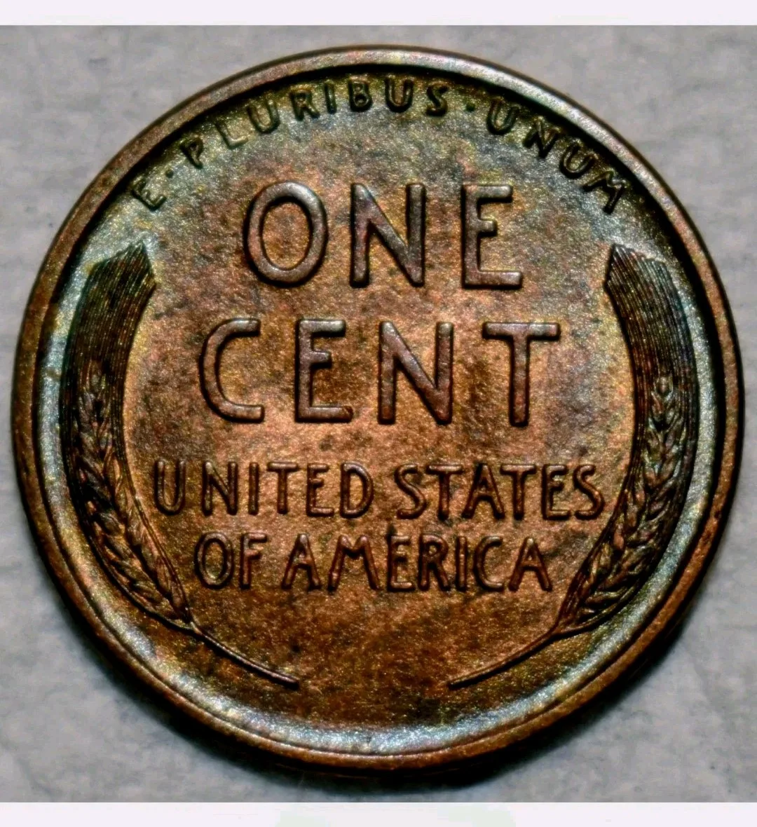 High Grade & Rare: 1909-S VDB Lincoln Wheat Penny image indicator(2)