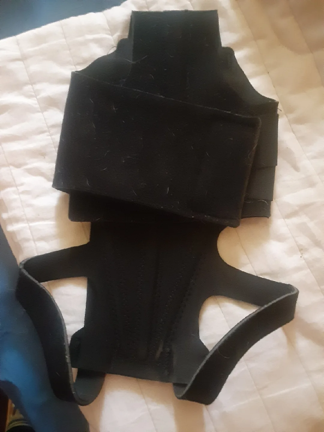 back brace for dog size Medium image indicator(4)