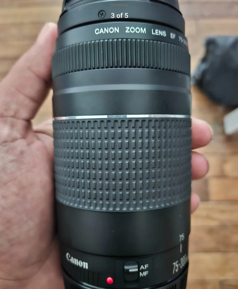 Canon RF-S 18-45mm F4.5-6.3 IS STM Lens  2 lenses with bag image indicator(2)