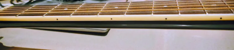 GWL Acoustic Guitar with Hagstrom Guitar Case image indicator(5)