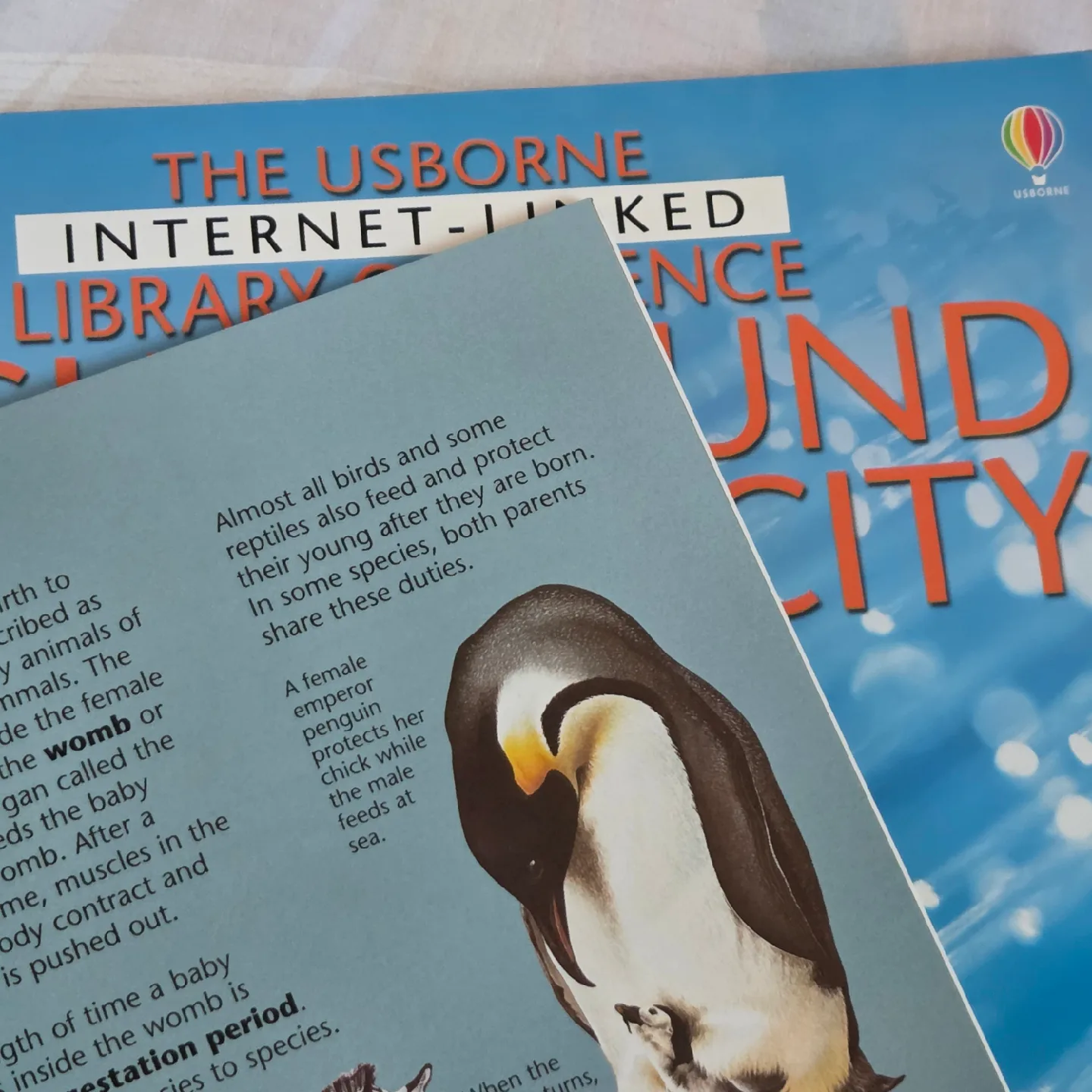 Animal World and Light & Sound Books image indicator(3)