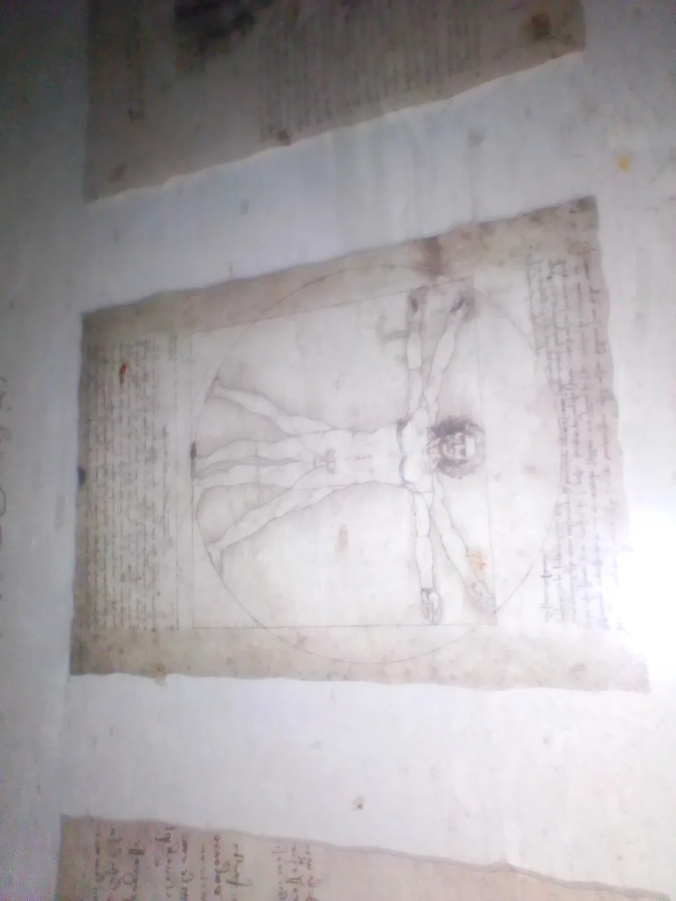 treasure image indicator(5)