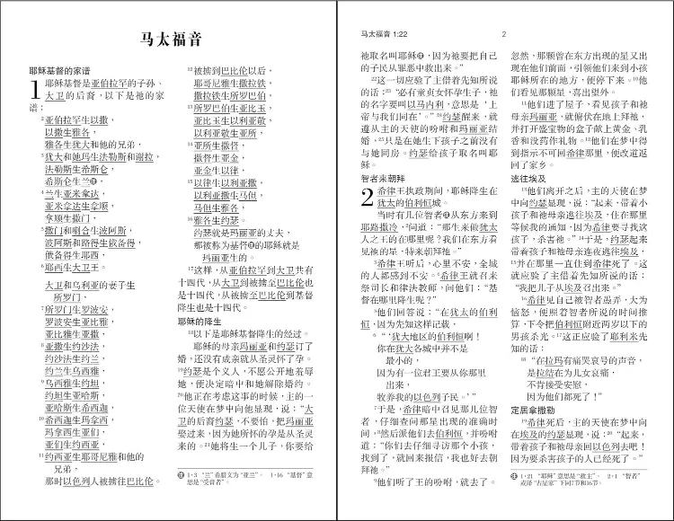 圣经当代译本  Zondervan  Chinese Bible Large Print, Paperback image indicator(6)