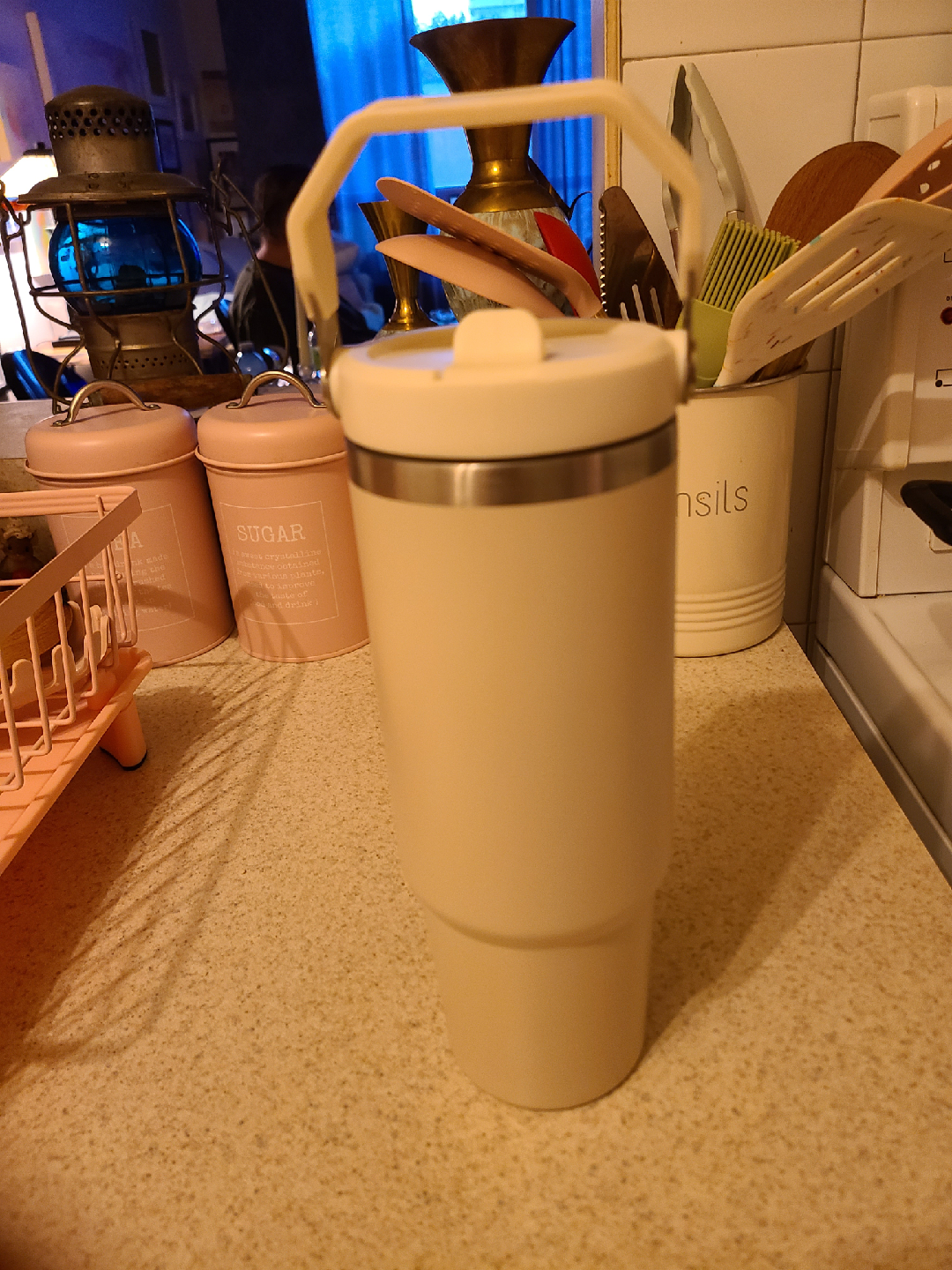 Insulated Tumbler with Handle 🥕