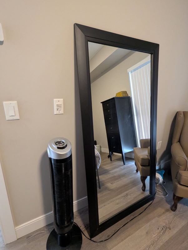 Large Black Framed Mirror