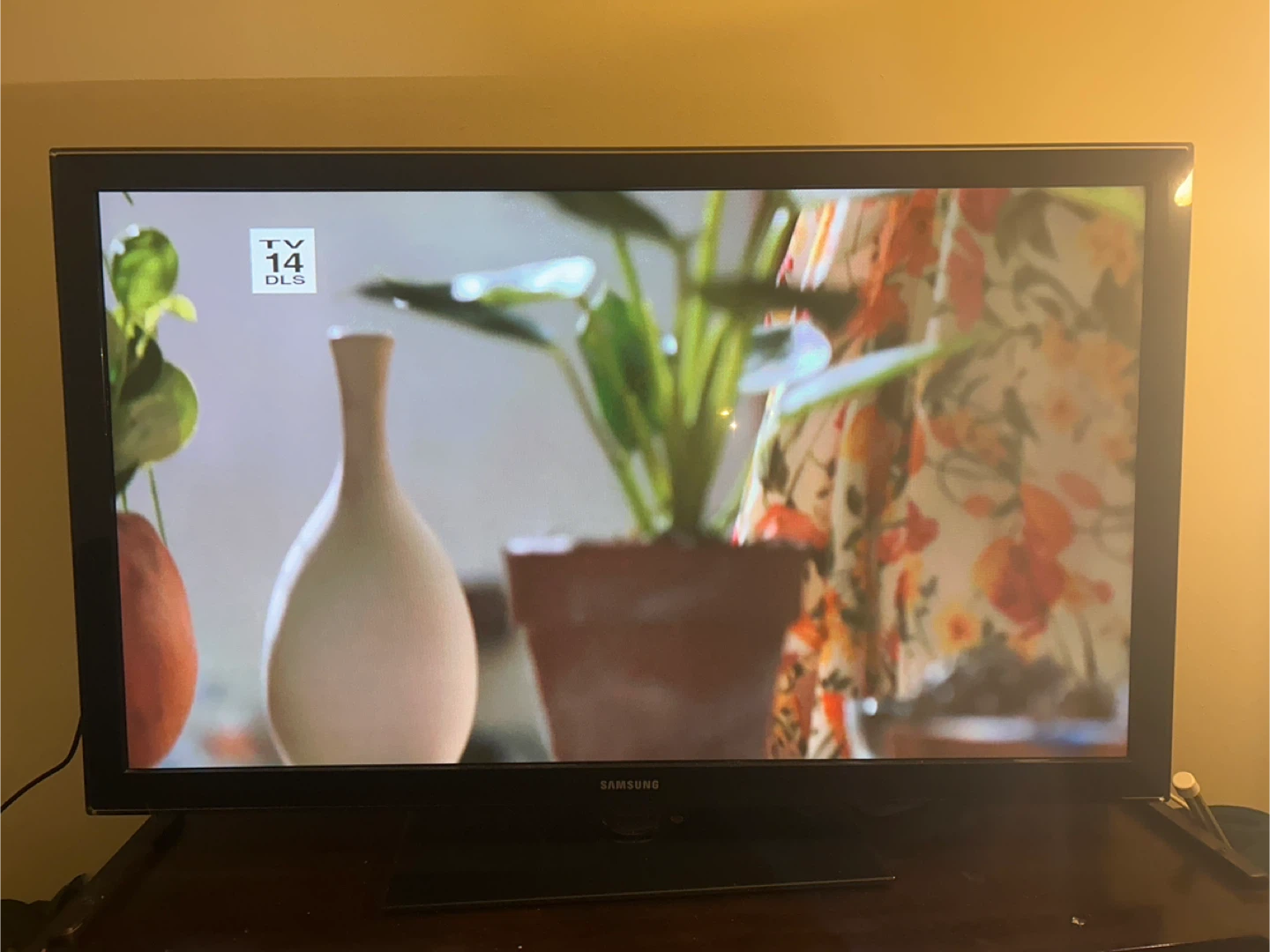 Samsung TV