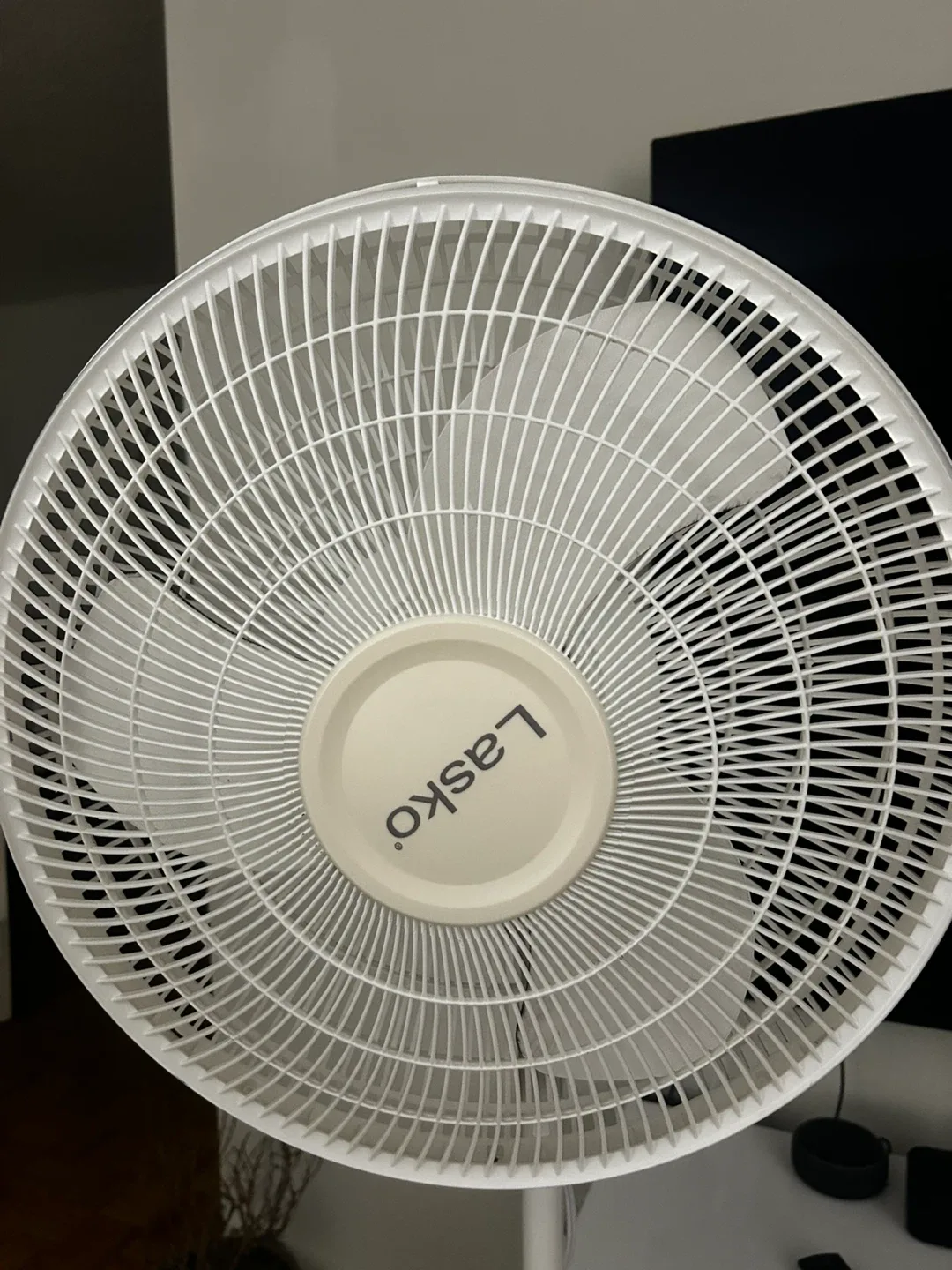 $25 Lasko Standing Fan – (Moving Sale!) image indicator(2)