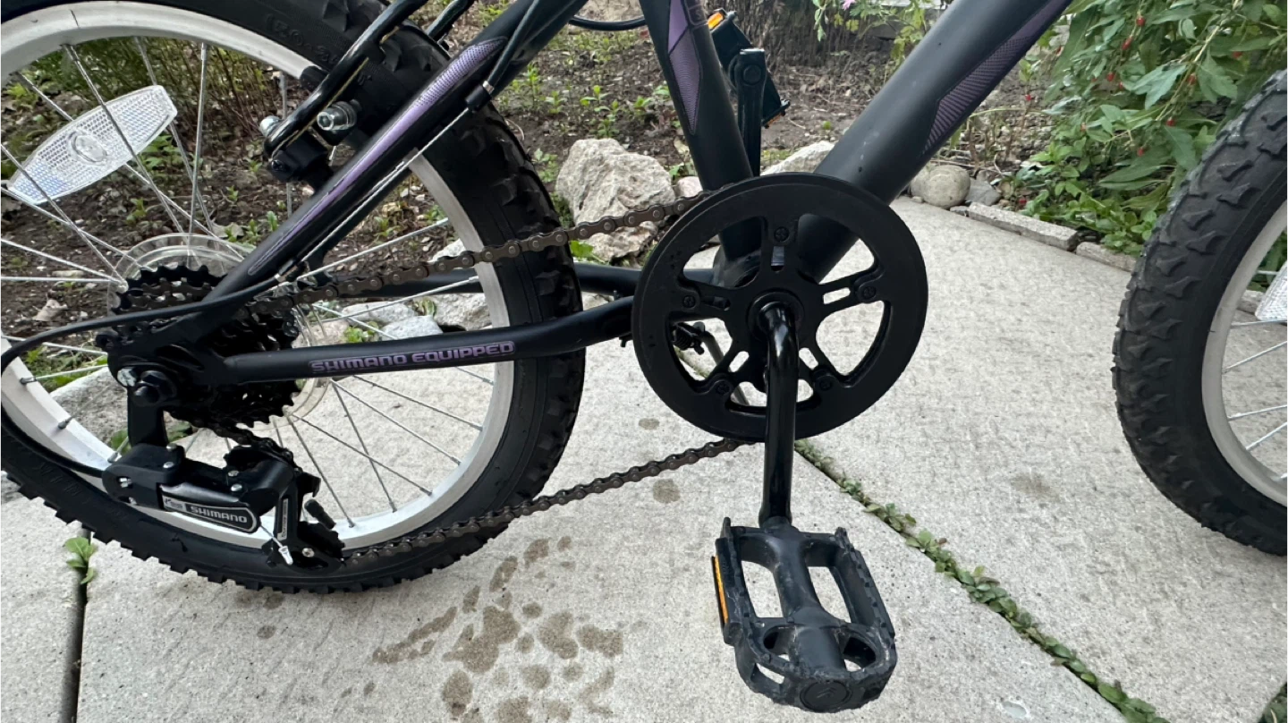CCM 18” Ruckus Kids Bike - Shimano Equipped - photo 3