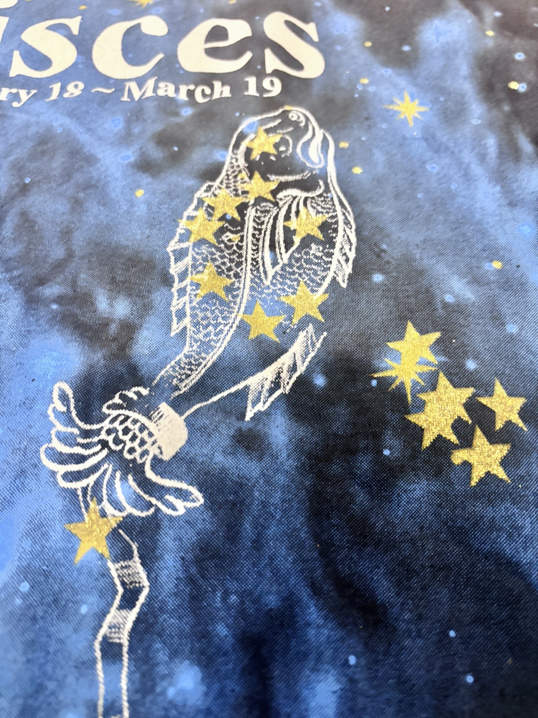 RPM33 Pisces Graphic T-Shirt - Black - photo 5