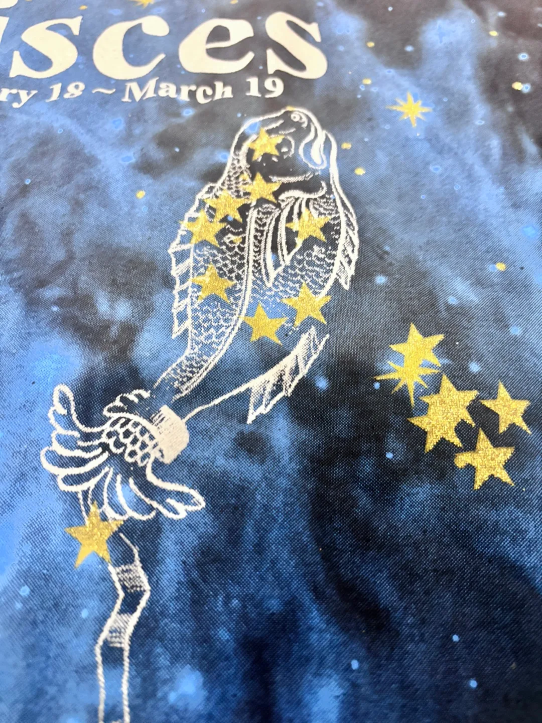 RPM33 Pisces Graphic T-Shirt - Black image indicator(5)