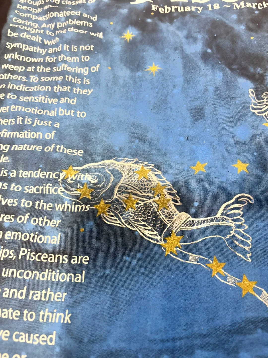 RPM33 Pisces Graphic T-Shirt - Black image indicator(6)