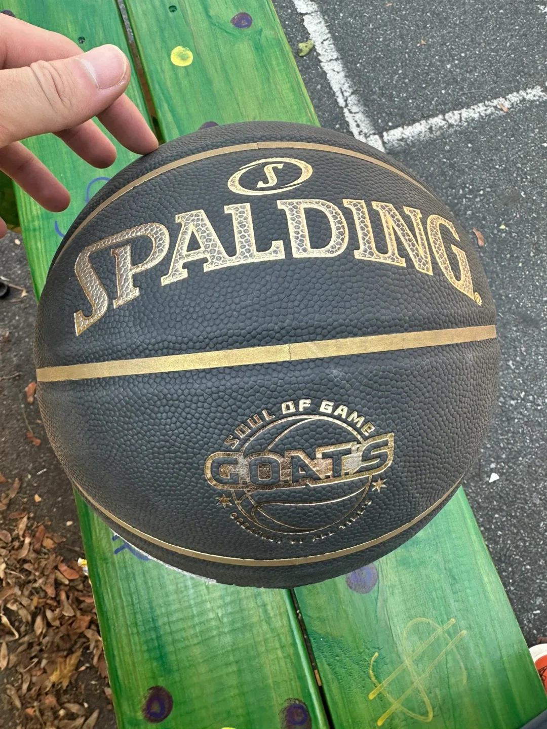 Spalding GOATS Soul of Game Basketball image indicator(3)