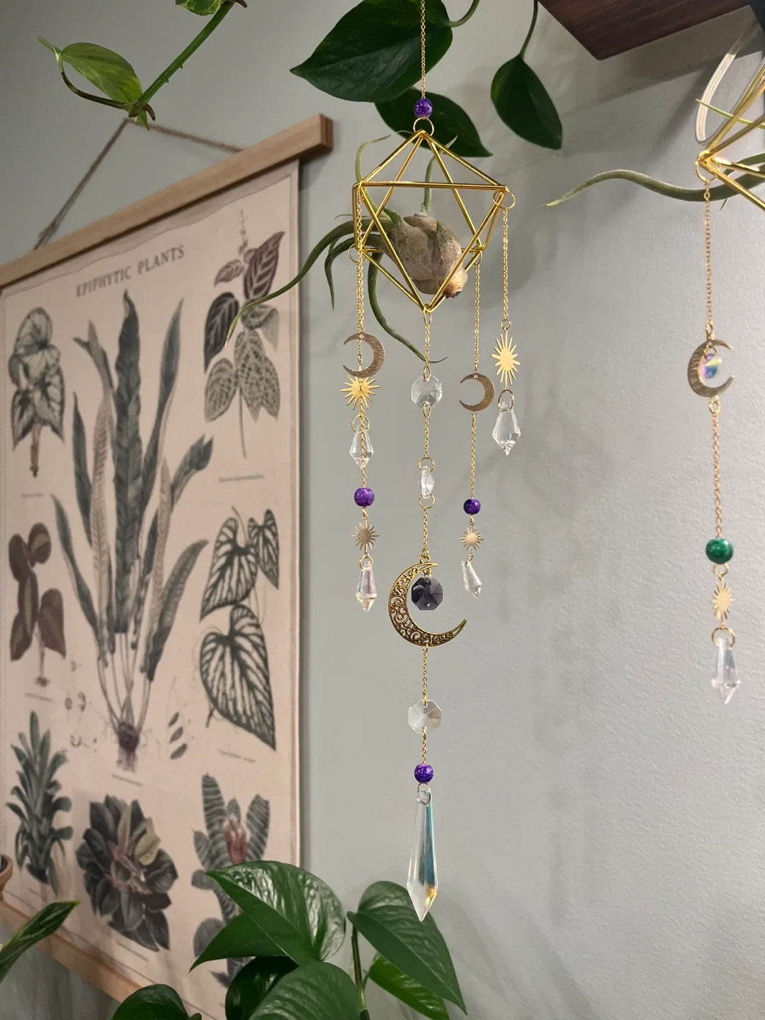 Sun and Moon Airplant Suncatchers w/ live Airplant Madusae image indicator(3)