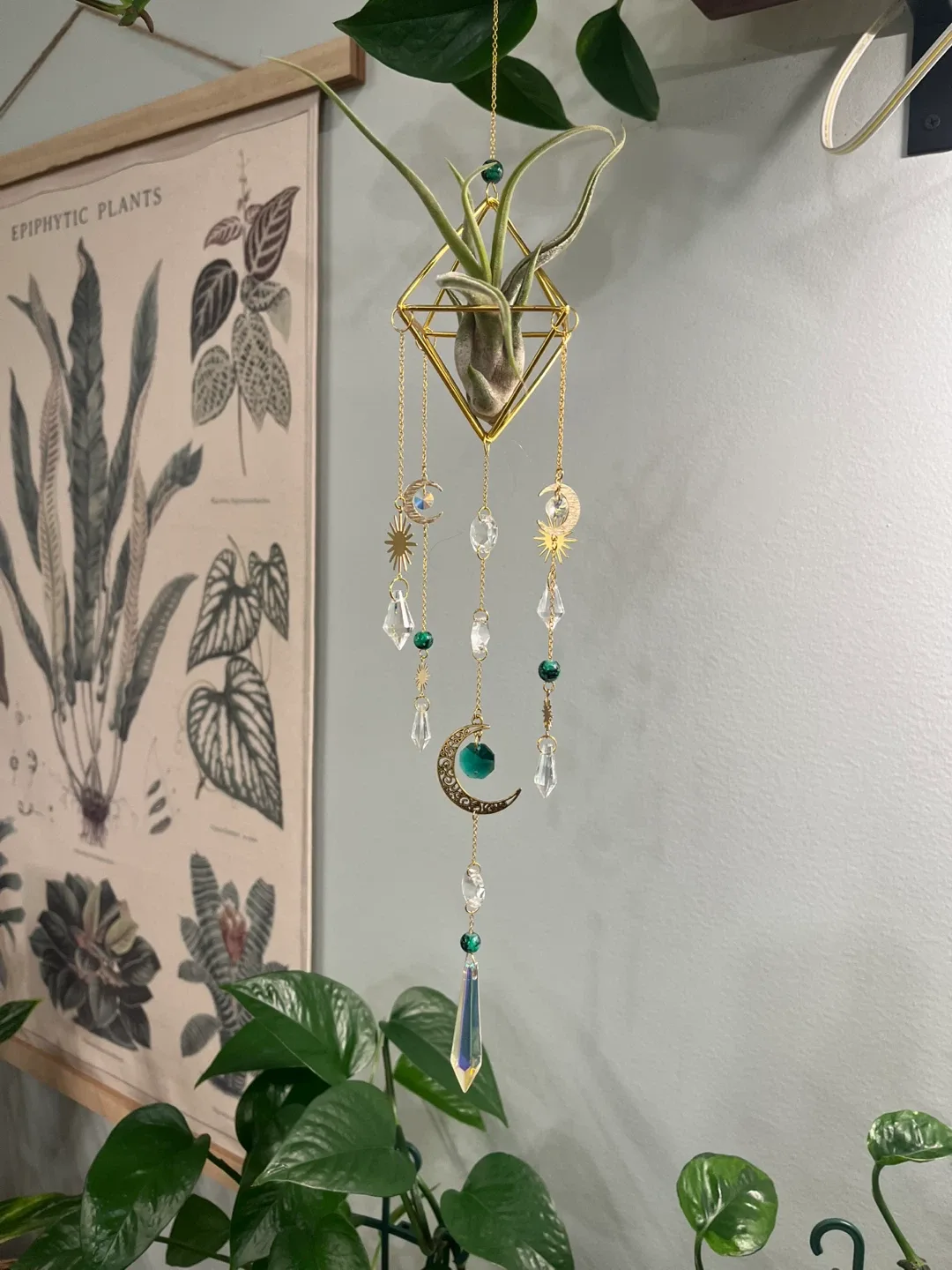 Sun and Moon Airplant Suncatchers w/ live Airplant Madusae image indicator(4)