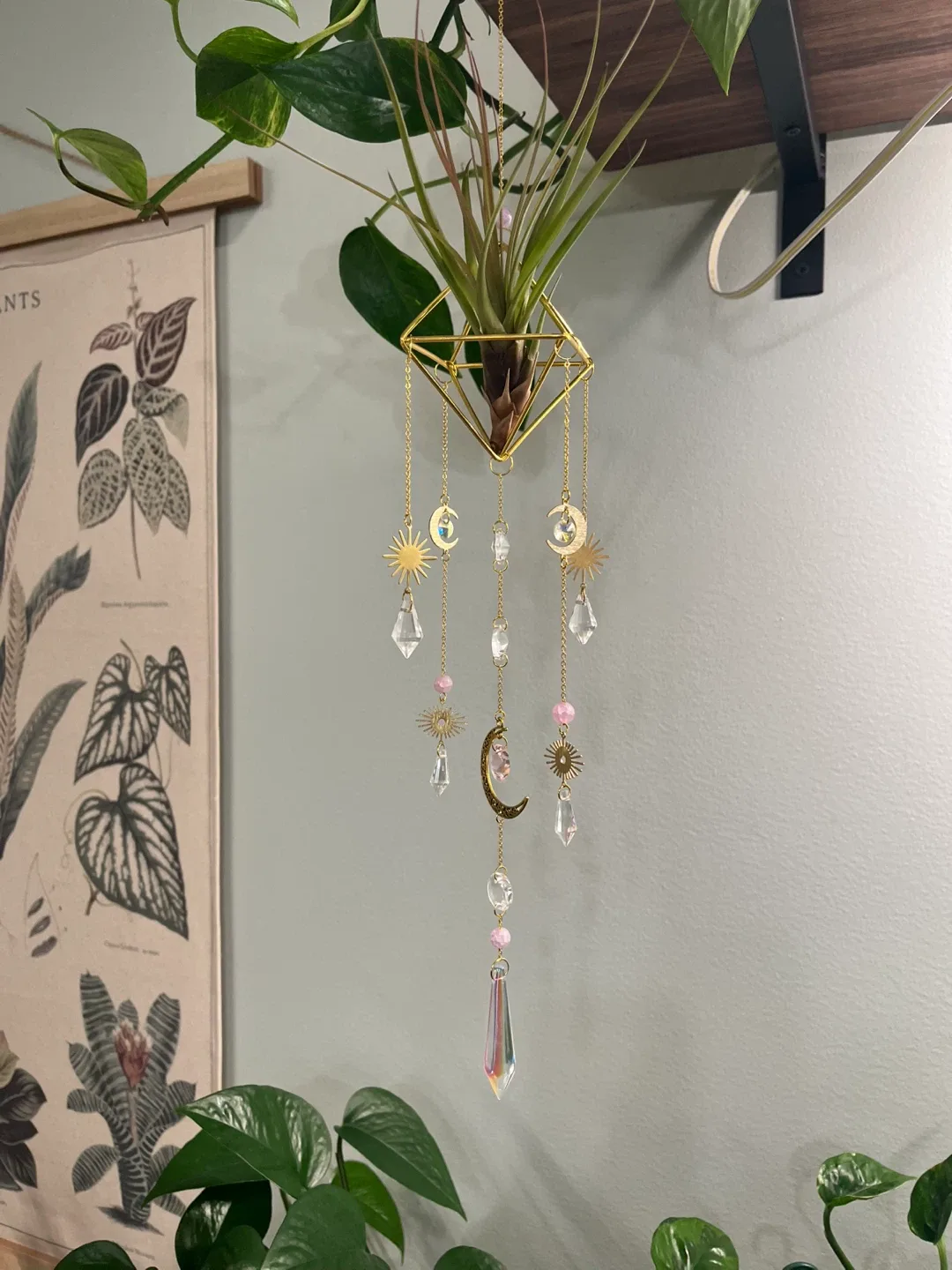 Sun and Moon Airplant Suncatchers w/ live Airplant Madusae image indicator(2)
