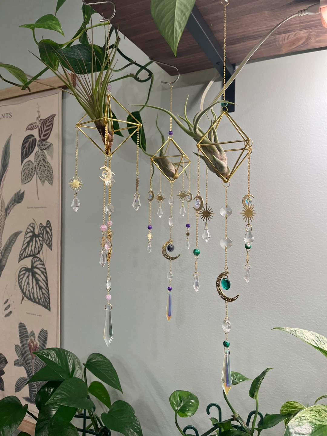 Sun and Moon Airplant Suncatchers w/ live Airplant Madusae