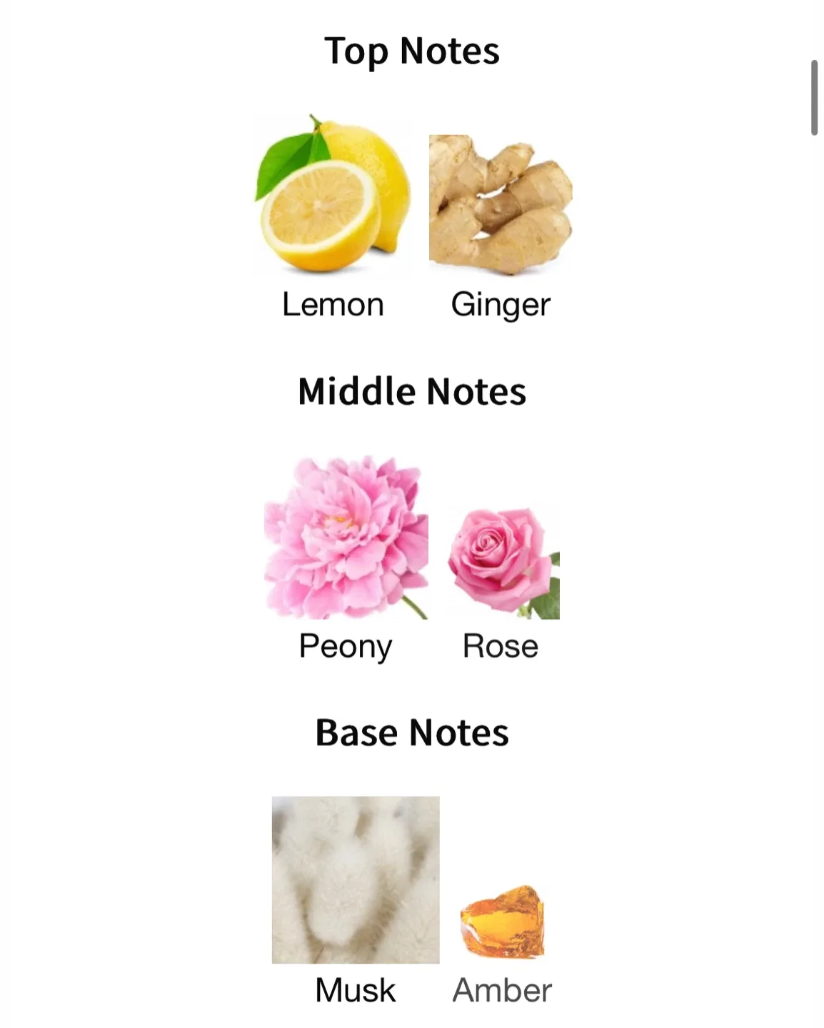 Burberry Her London Dream EDP - 100ml image indicator(3)