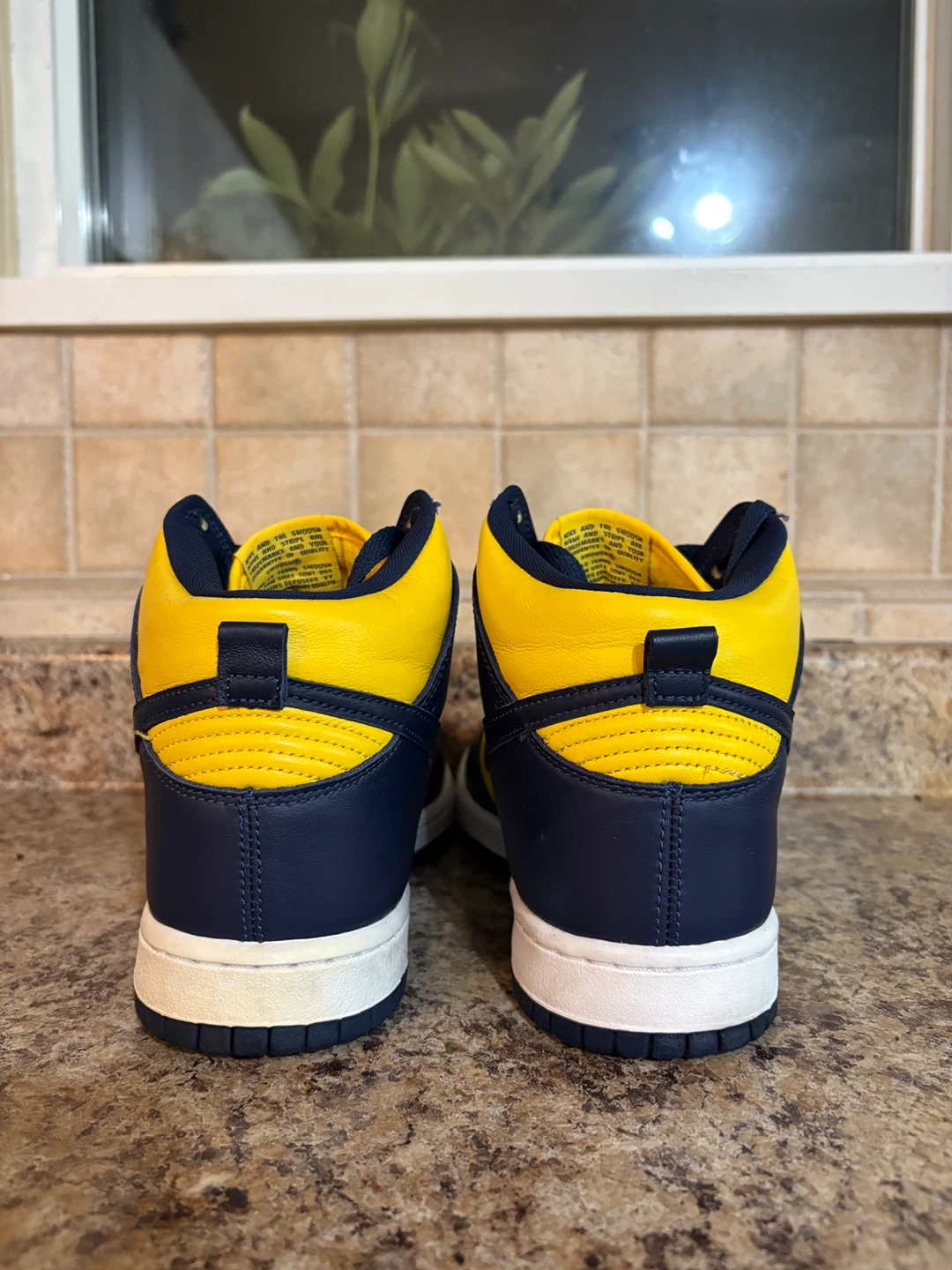 Nike Dunk High Michigan - photo 2