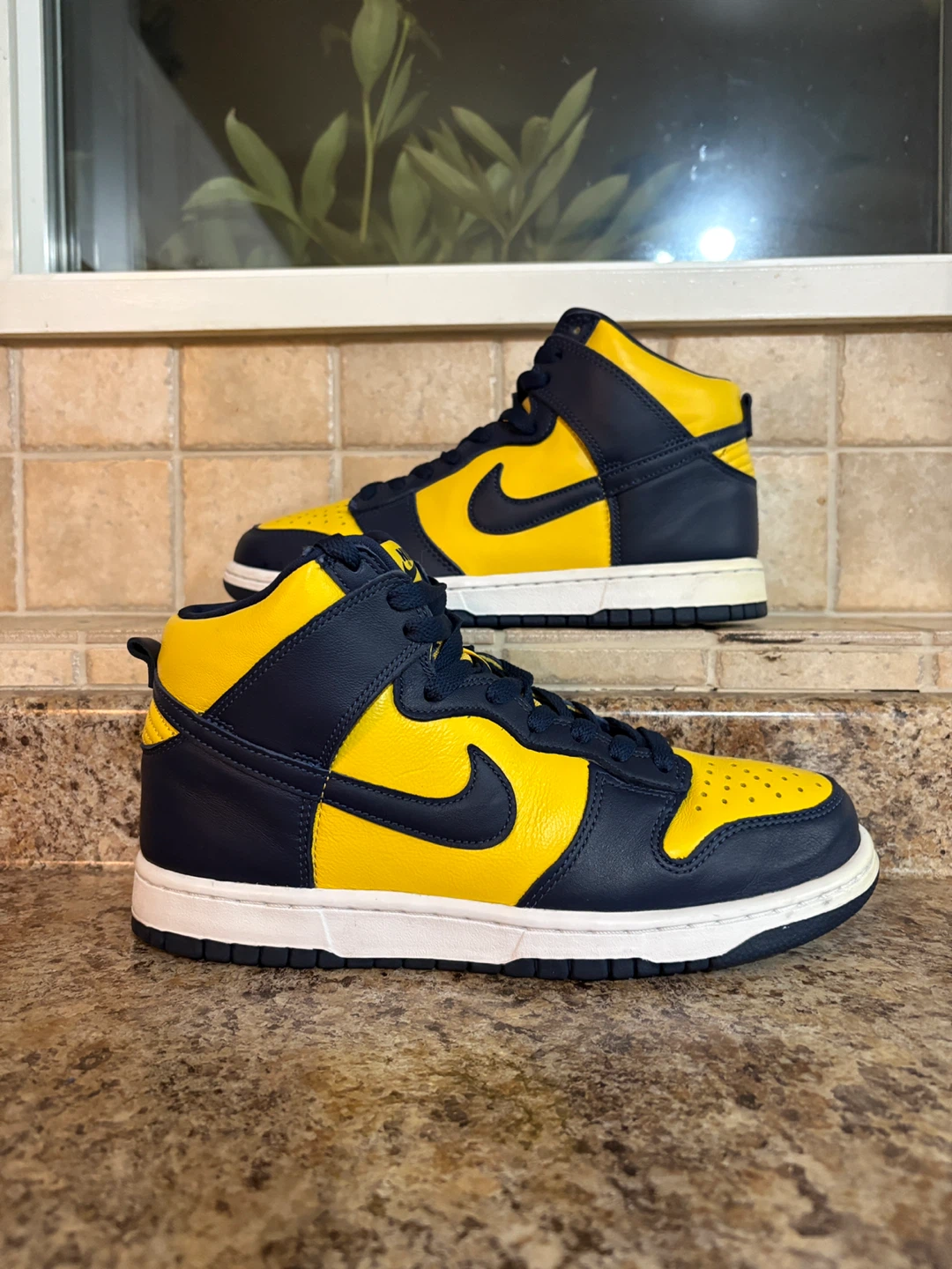 Nike Dunk High Michigan