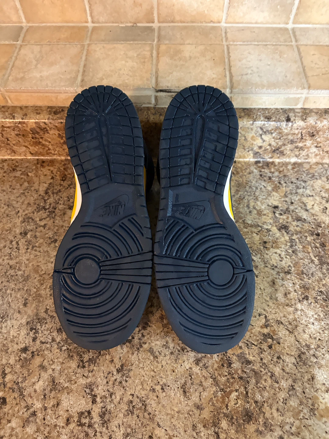 Nike Dunk High Michigan - photo 5