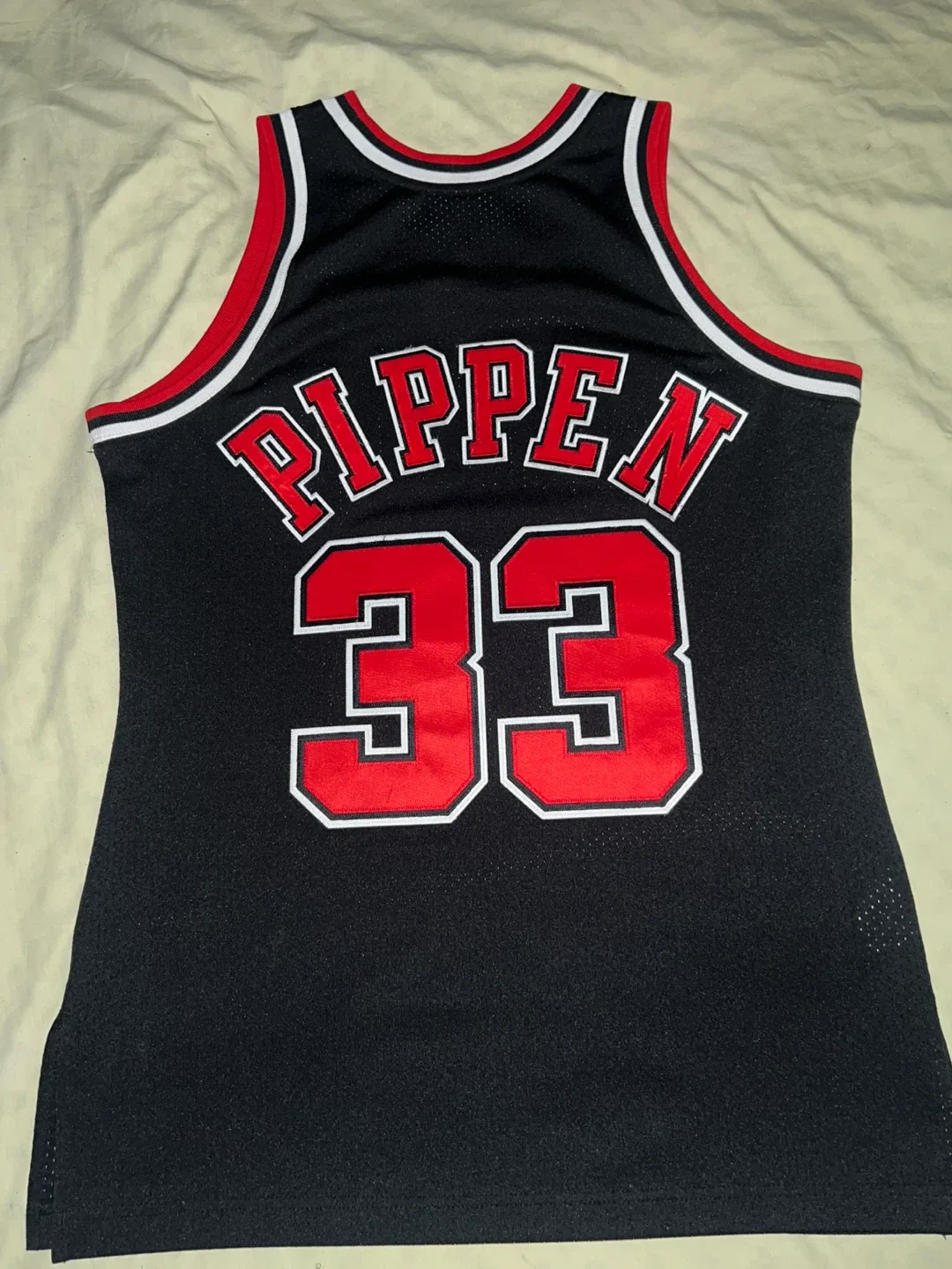 Mitchell & Ness Scottie Pippen Bulls Jersey Size 40 image indicator(2)
