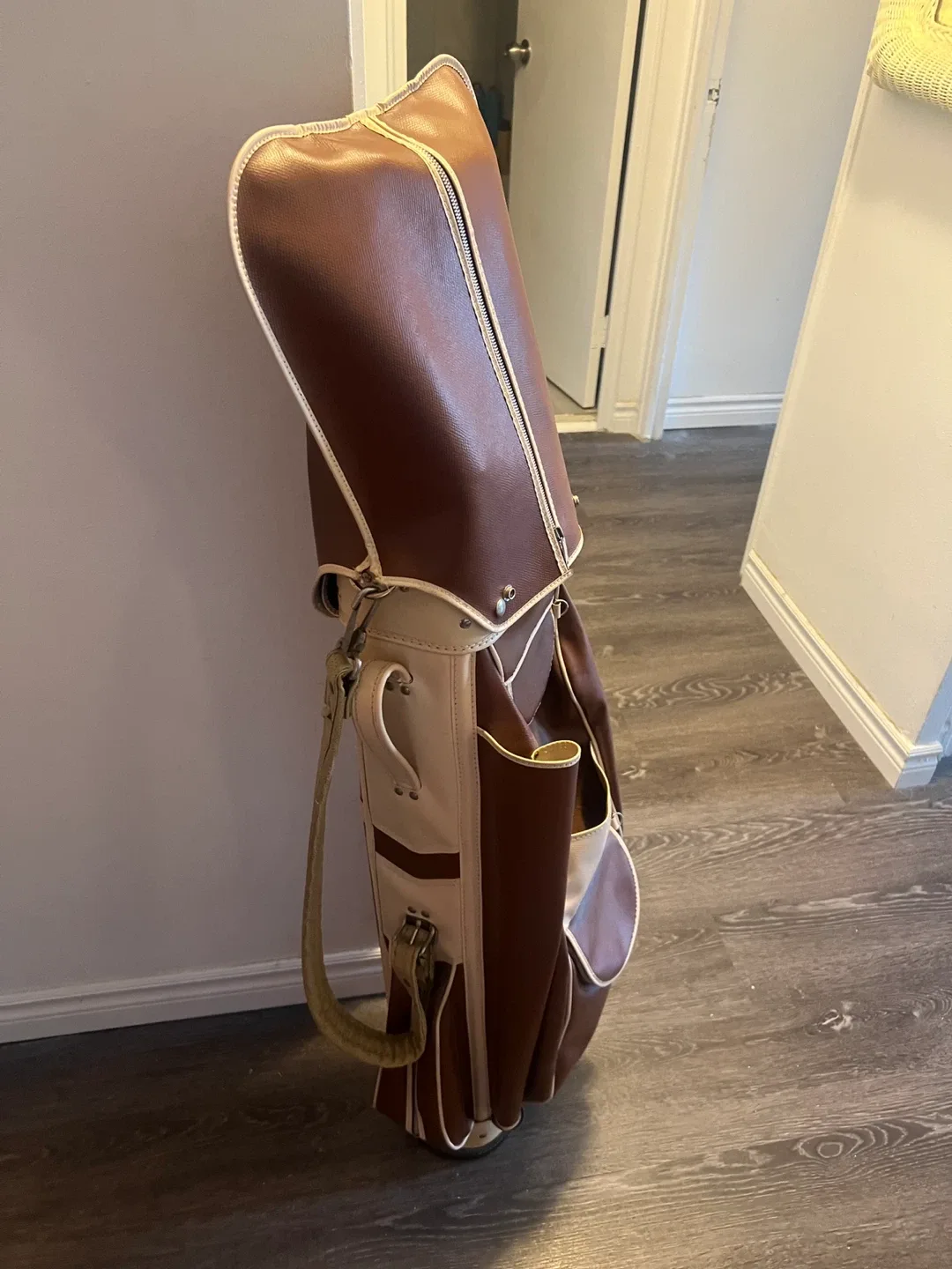 Vintage Golf Bag and Clubs image indicator(2)