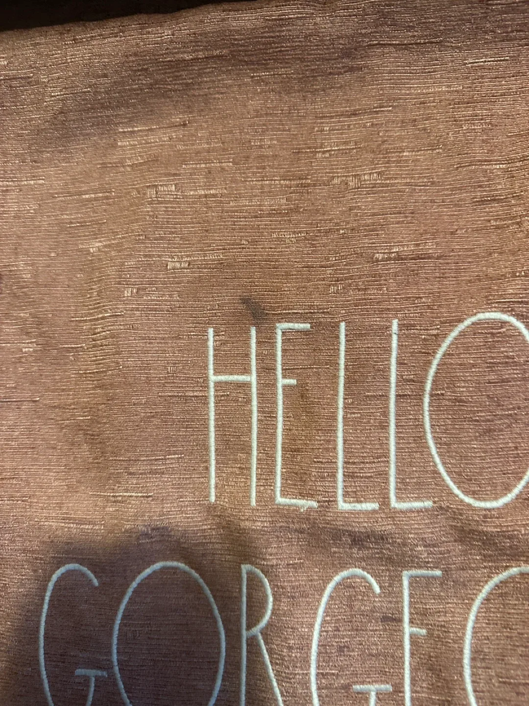 Rae Dunn 'Hello Gorgeous' Pillow - 20" x 20" image indicator(6)