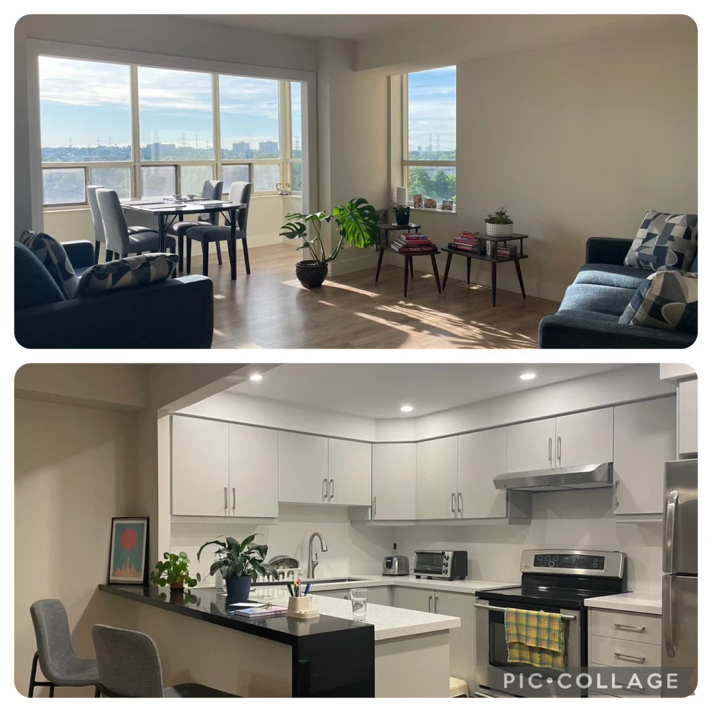 Bright and furnished room for rent, vegetarian female image indicator(2)