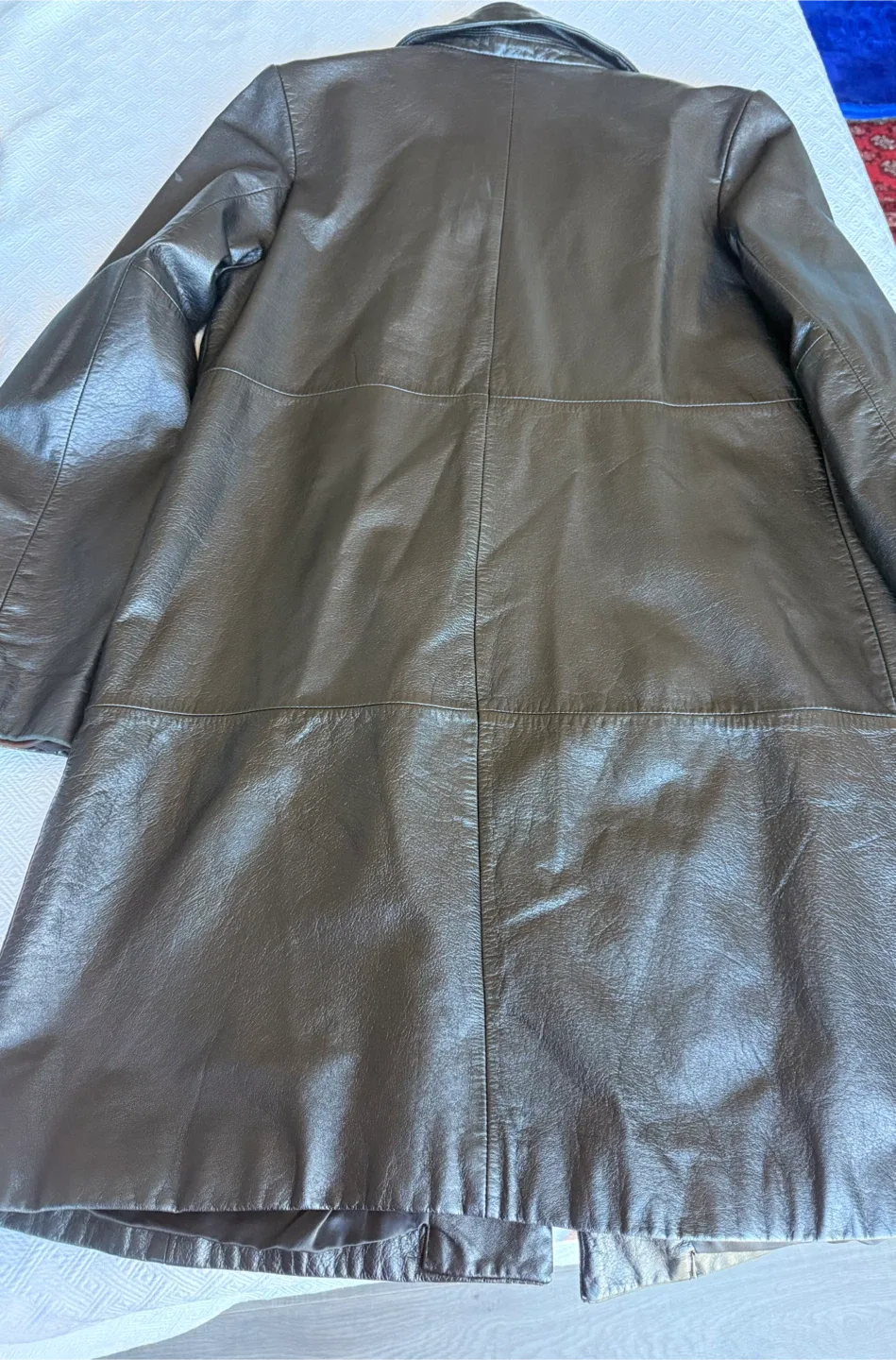 DANIER Canada Kedda Leather Trench Coat - Large image indicator(5)
