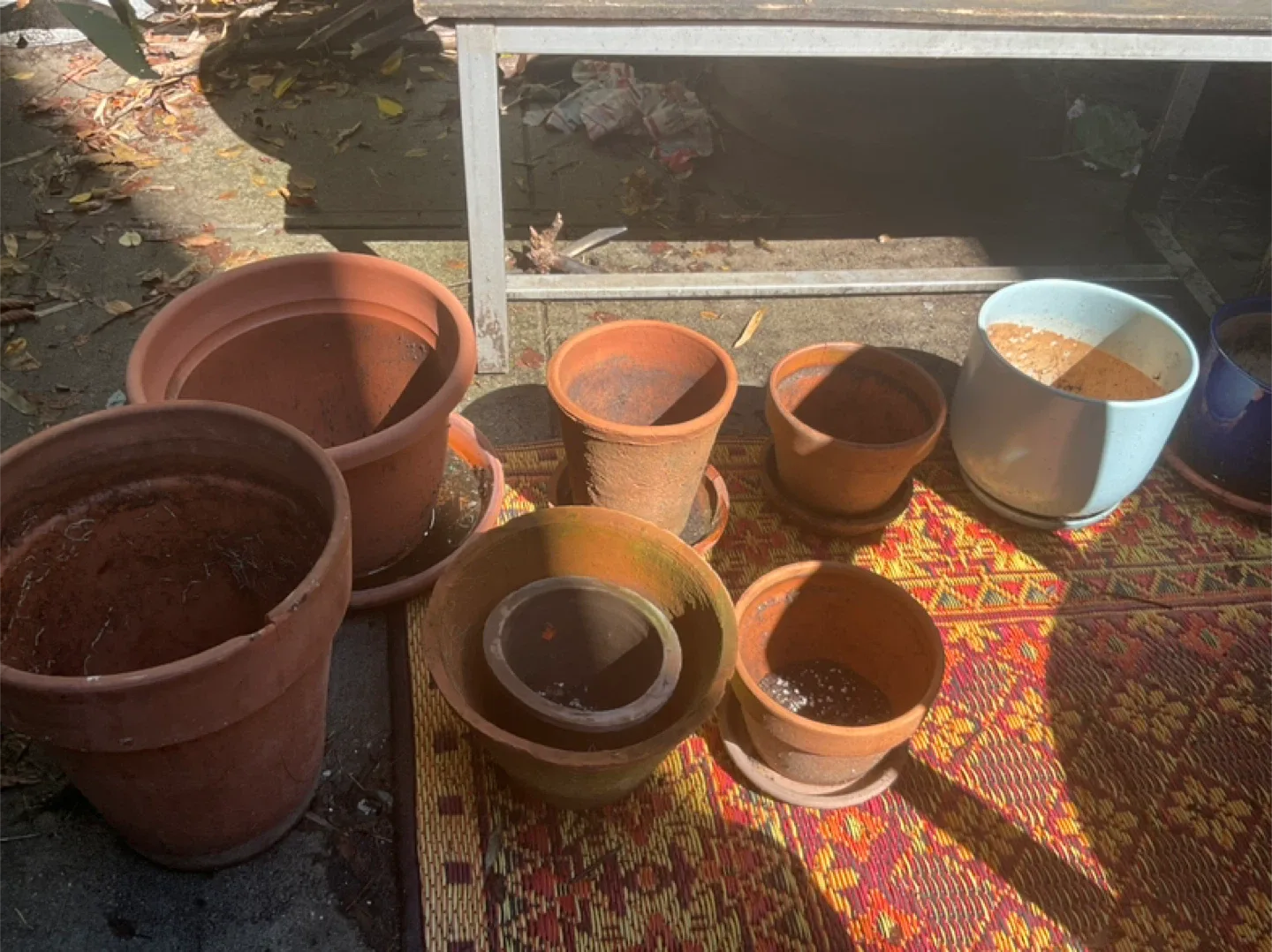 Used Terracotta Plant Pots thumbnail