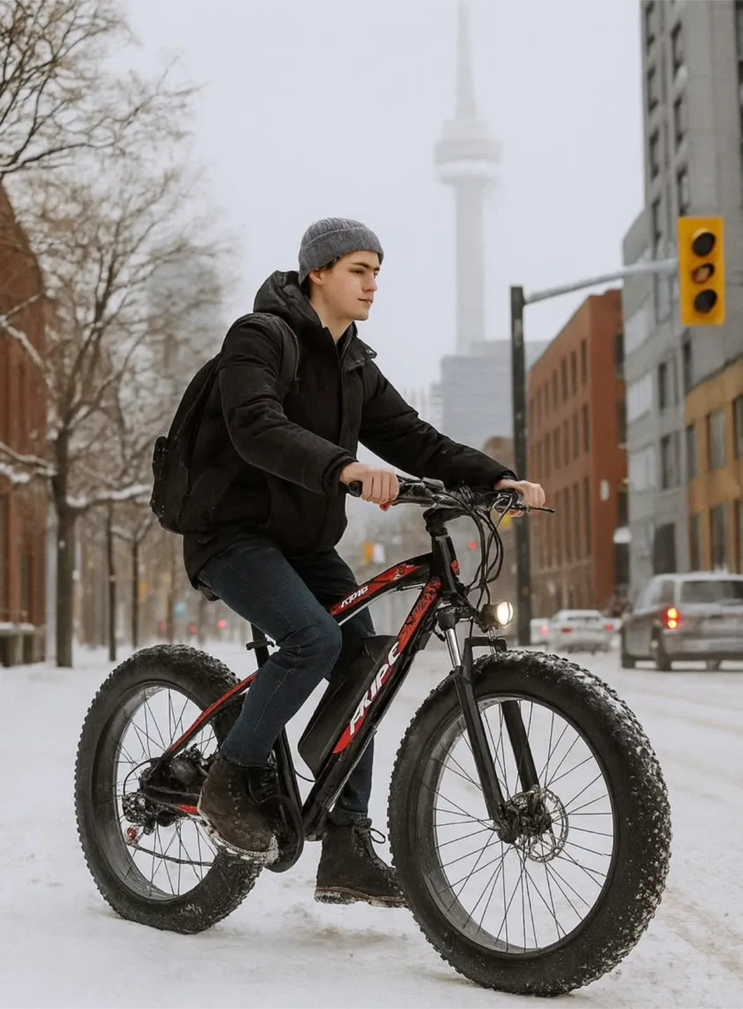 FRIKE 1000w Ebike Fat Tire Electric Bike image indicator(3)