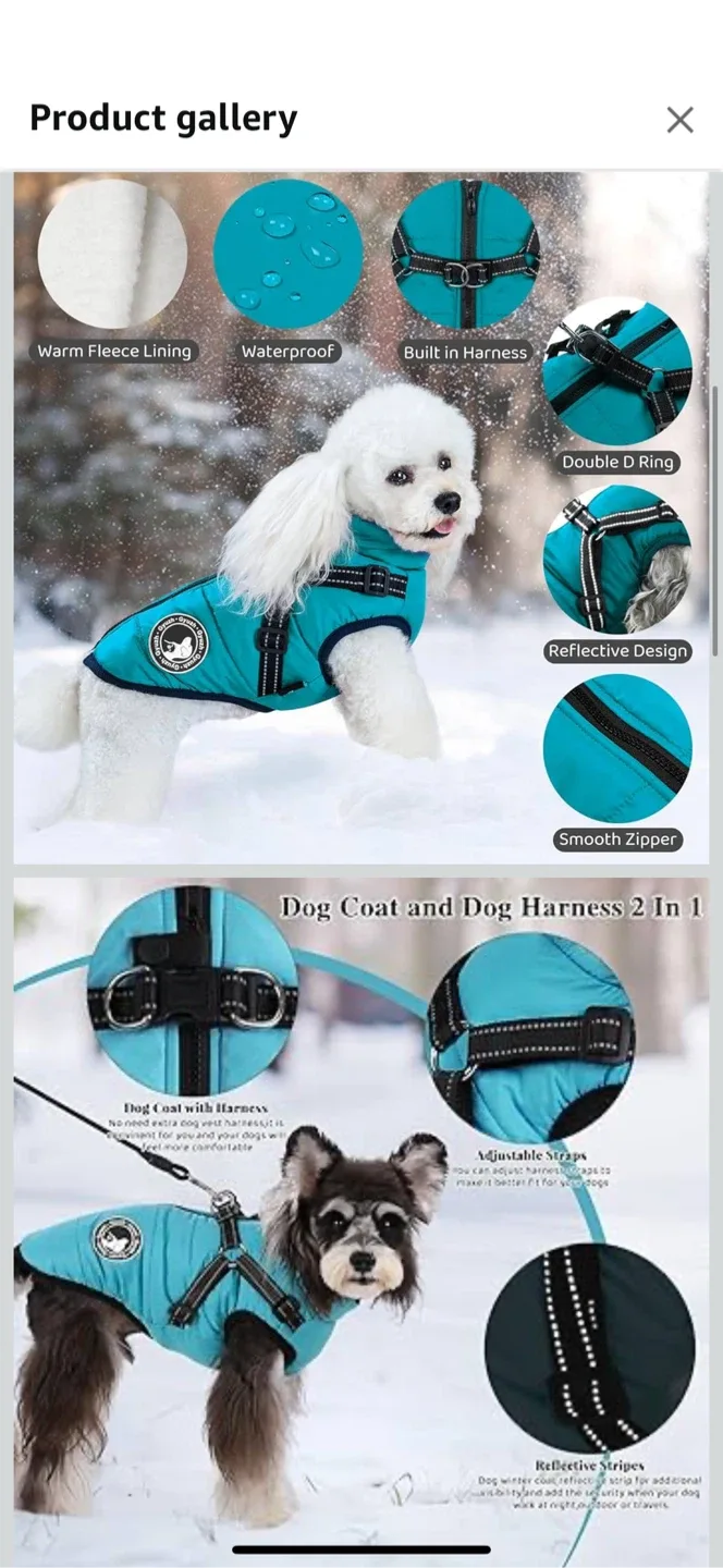 Teal Dog Winter Coat with Harness - Small image indicator(3)