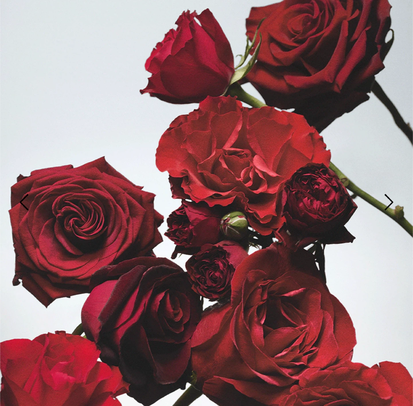 Jo Malone Red Roses Cologne 30ml - photo 4