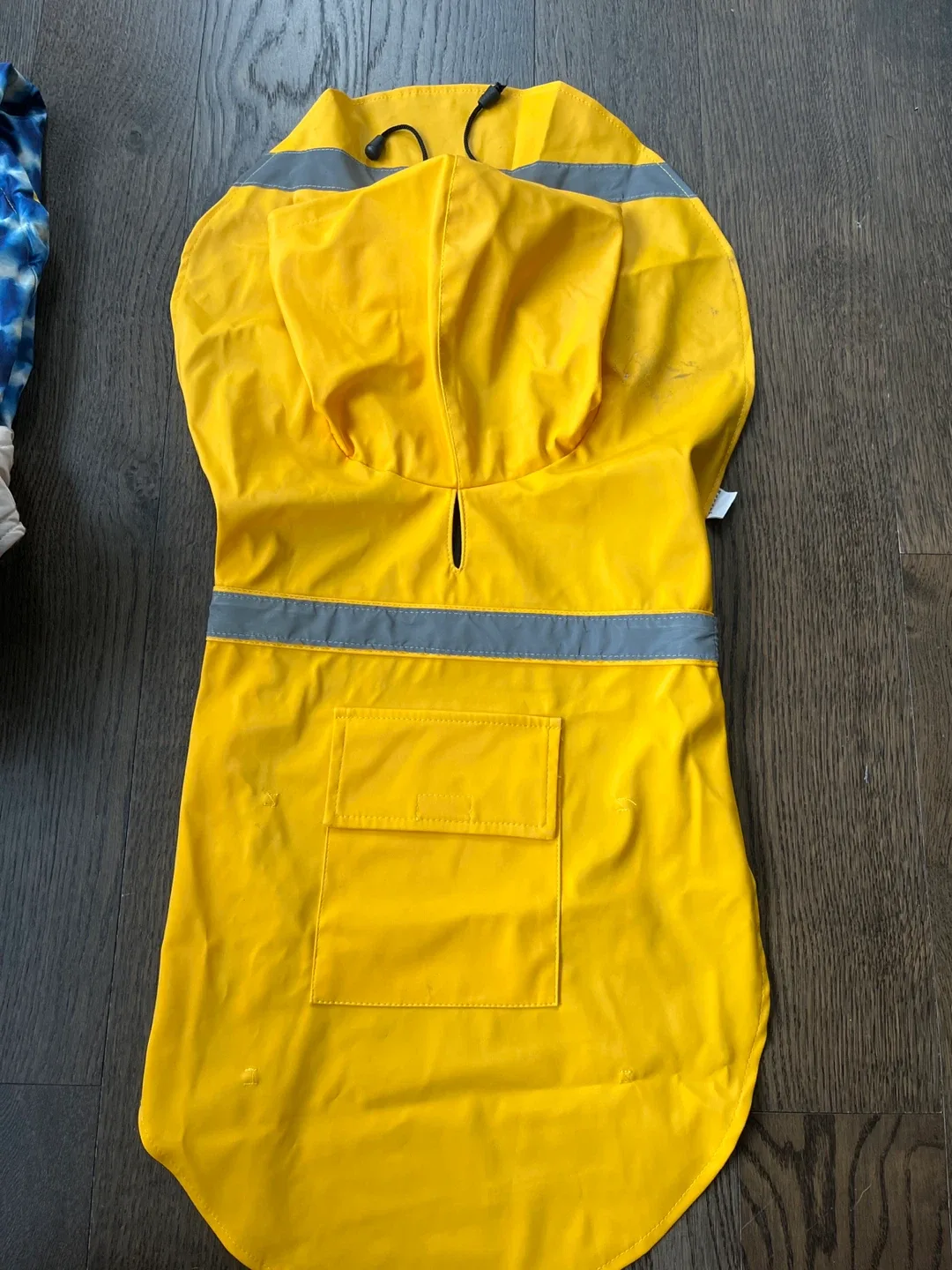 Yellow Dog Raincoat thumbnail
