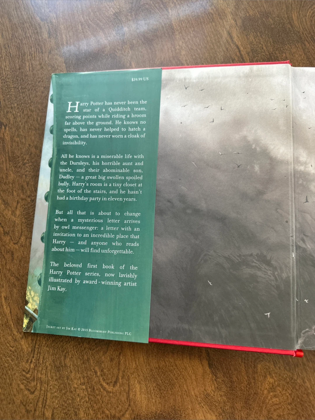 Harry Potter and the Sorcerer's Stone Illustrated Edition - photo 4