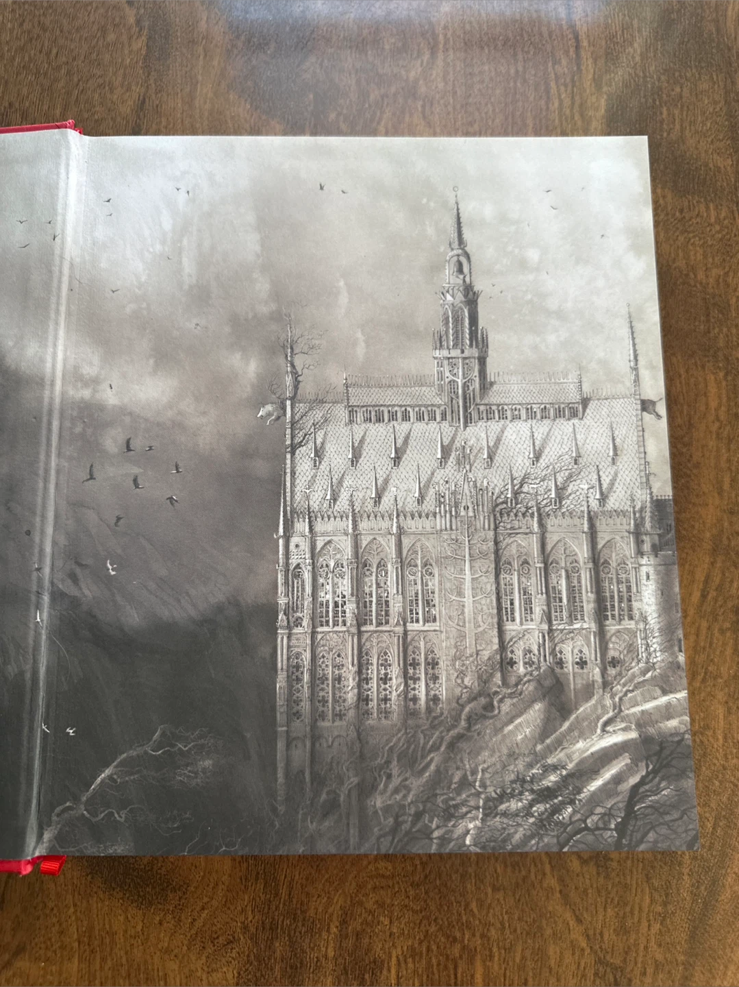 Harry Potter and the Sorcerer's Stone Illustrated Edition - photo 3